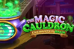 The Magic Cauldron - Enchanted Brew