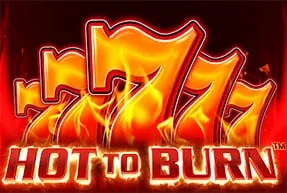Hot to Burn