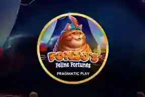 Fonzo’s Feline Fortunes