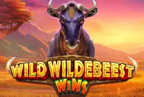 Wild Wildebeest Wins