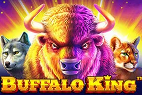 Buffalo King