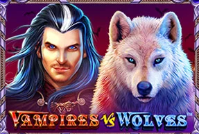 Vampires vs Wolves