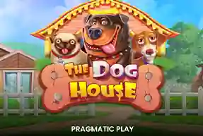The Dog House