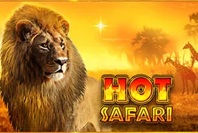Hot Safari